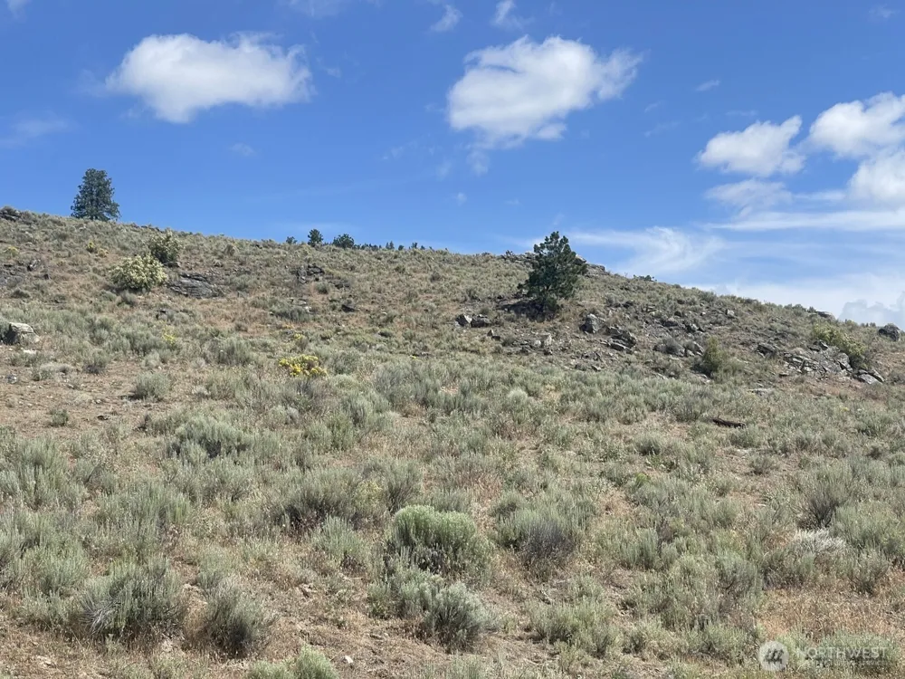 16 Breezy Lane Tonasket, WA 98855