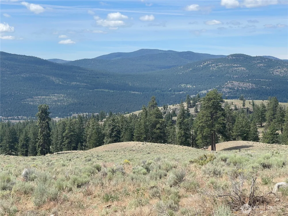 16 Breezy Lane Tonasket, WA 98855