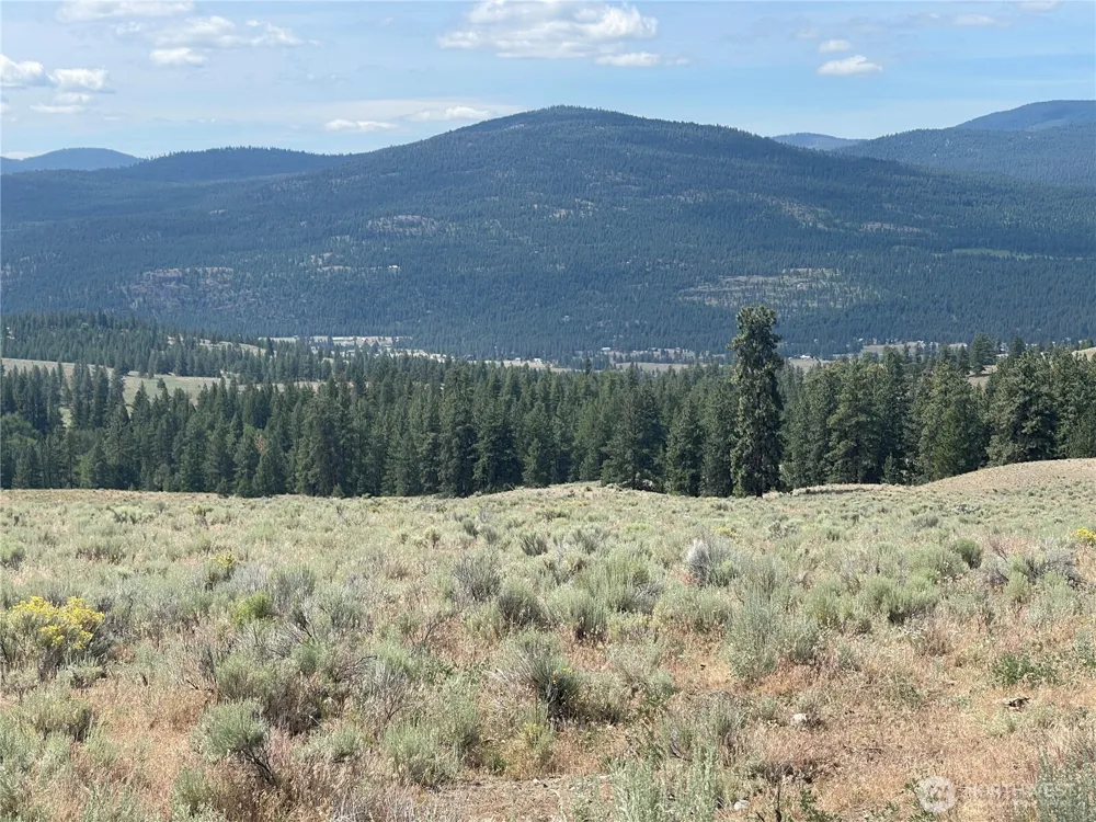16 Breezy Lane Tonasket, WA 98855