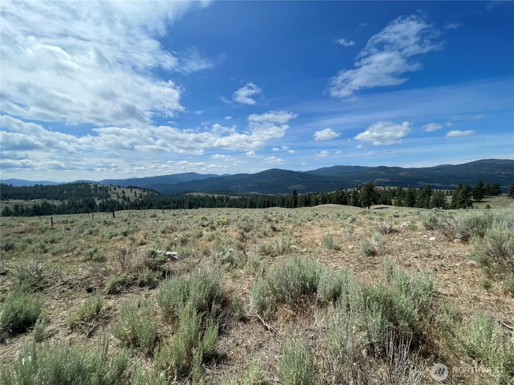 16 Breezy Lane Tonasket, WA 98855