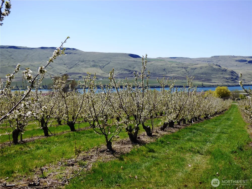 501 Jack Wells Road Bridgeport, WA 98813