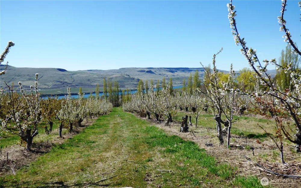 501 Jack Wells Road Bridgeport, WA 98813