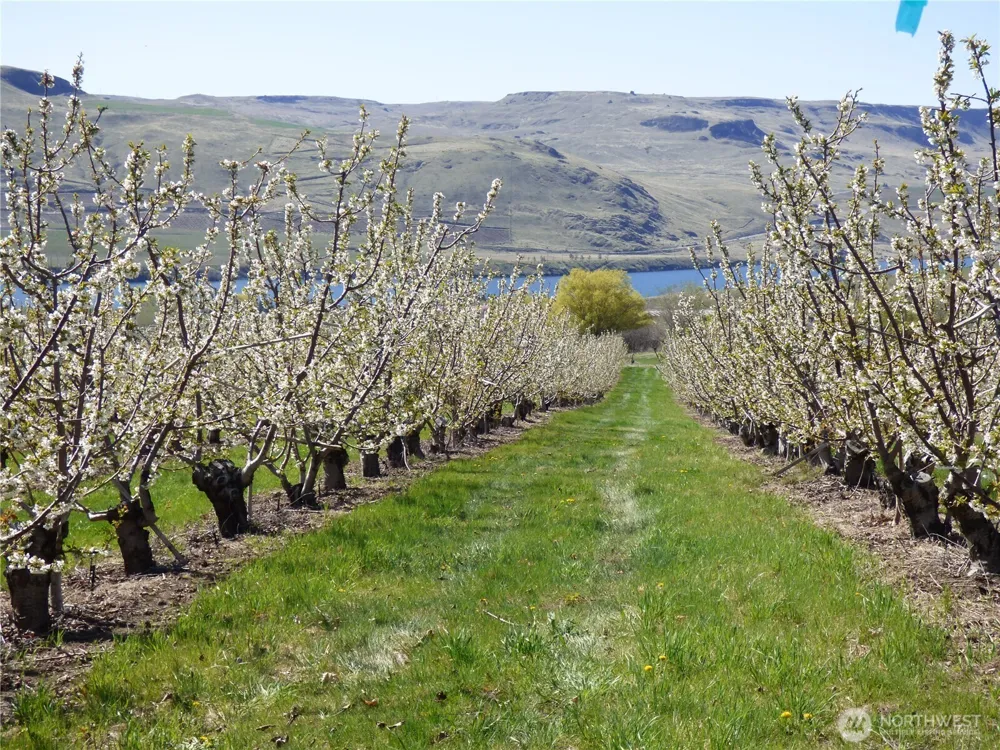 501 Jack Wells Road Bridgeport, WA 98813