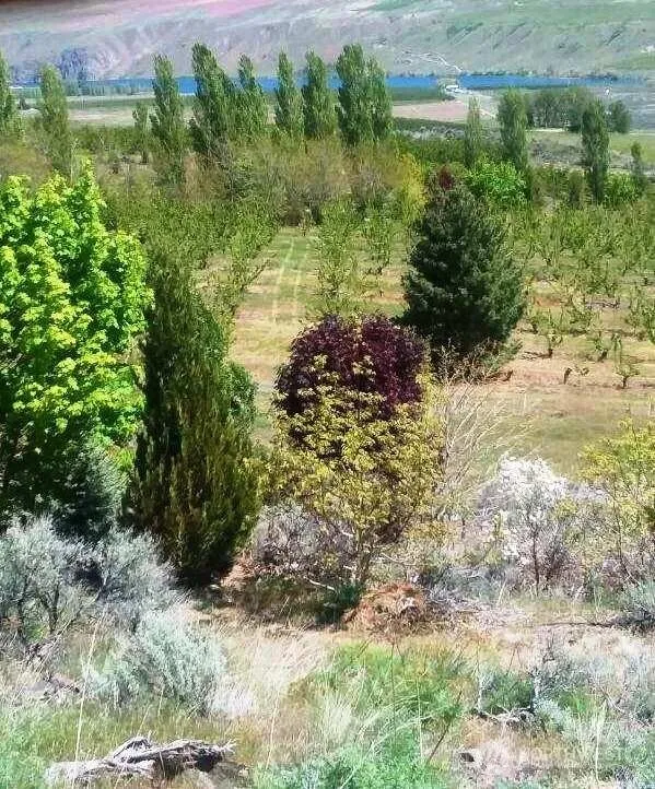 501 Jack Wells Road Bridgeport, WA 98813