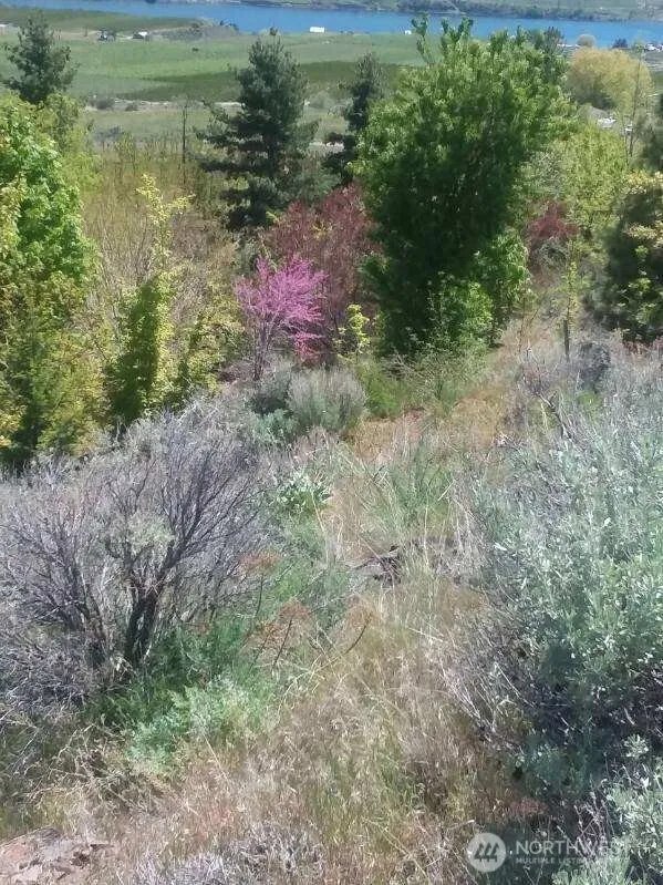 501 Jack Wells Road Bridgeport, WA 98813