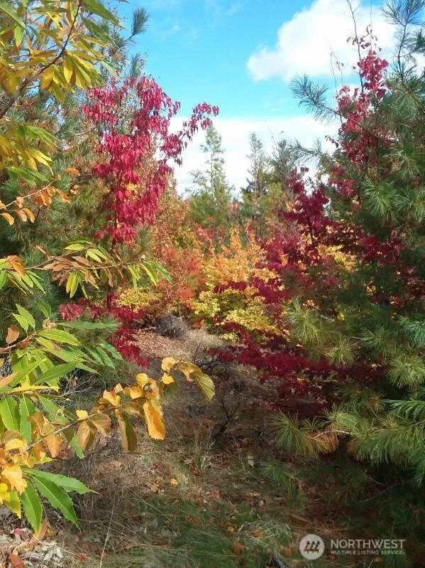 501 Jack Wells Road Bridgeport, WA 98813