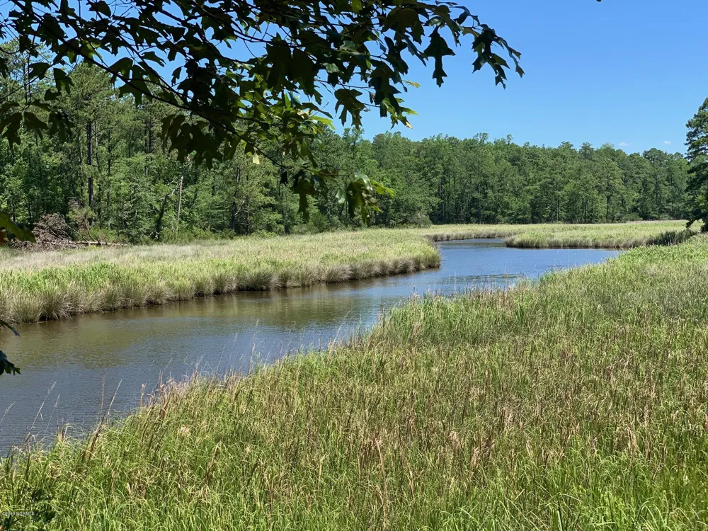 220 Golden Fern Lane Minnesott Beach, NC 28510