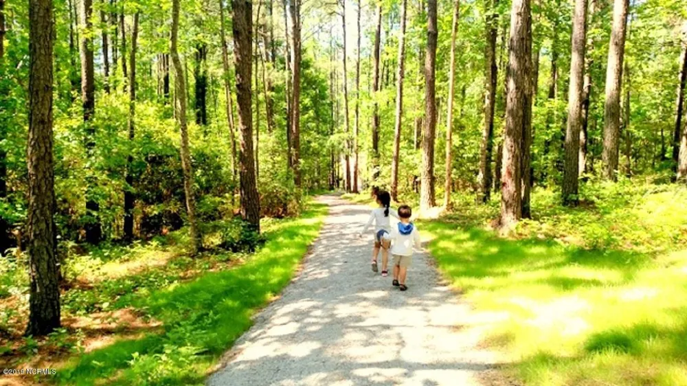 220 Golden Fern Lane Minnesott Beach, NC 28510