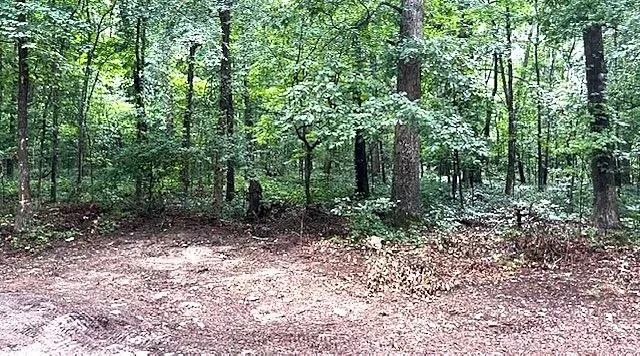 3871 Martin Drive Ellenwood, GA 30294
