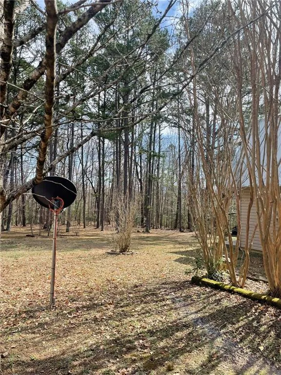 175 Loblolly Lane Blairsville, GA 30512