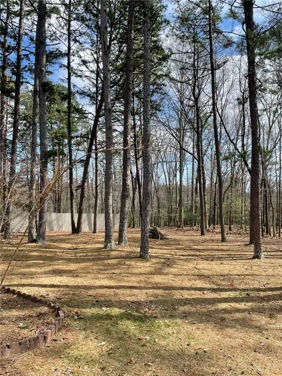 175 Loblolly Lane Blairsville, GA 30512