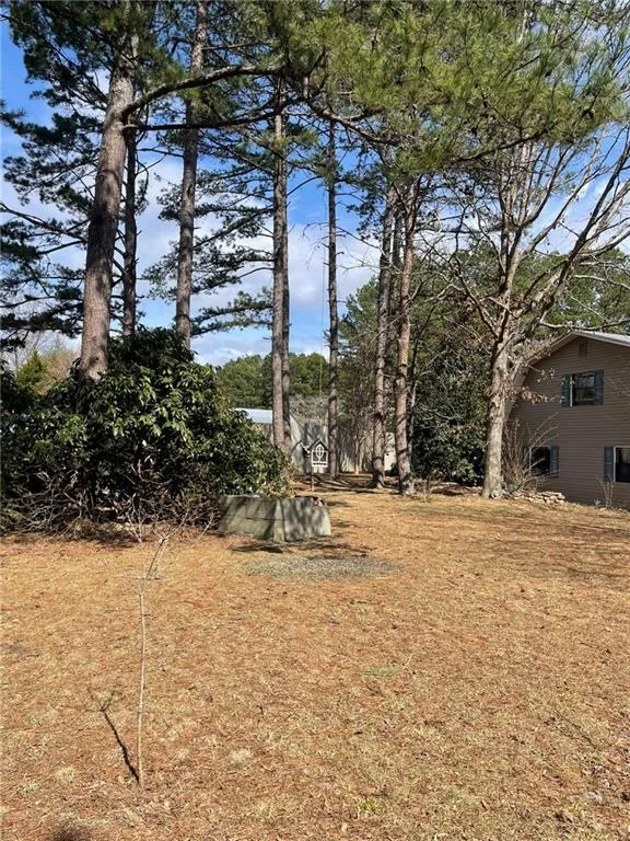 175 Loblolly Lane Blairsville, GA 30512