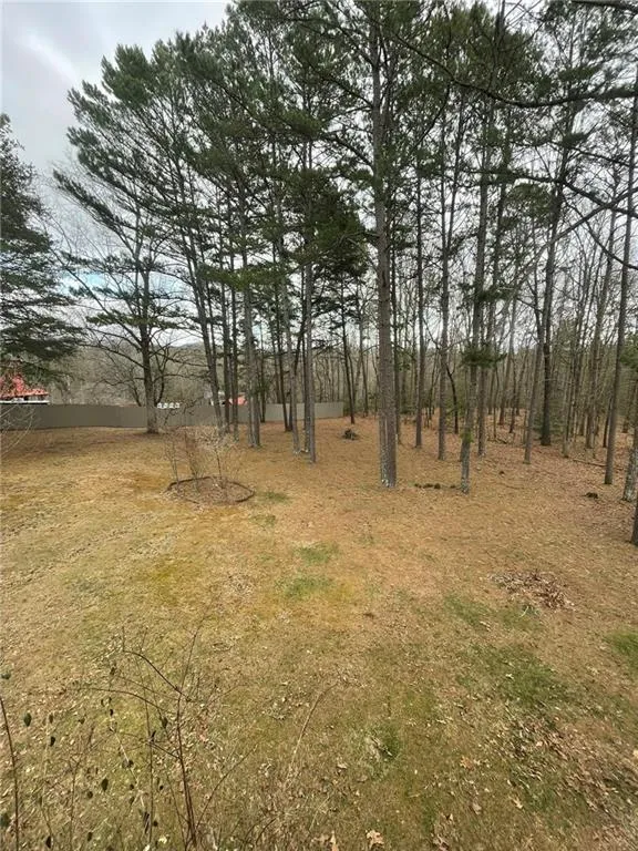 175 Loblolly Lane Blairsville, GA 30512