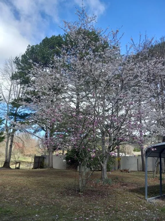 175 Loblolly Lane Blairsville, GA 30512