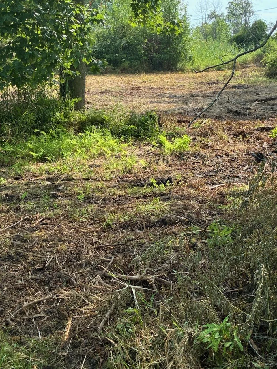 Vicky Drive Rubicon Township, MI 48468