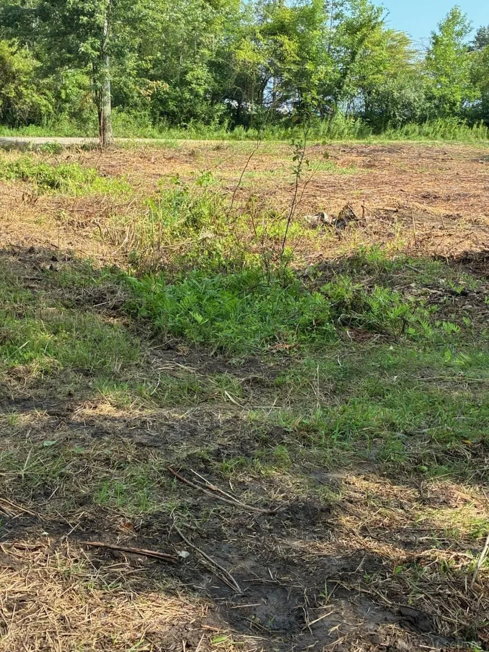 Vicky Drive Rubicon Township, MI 48468