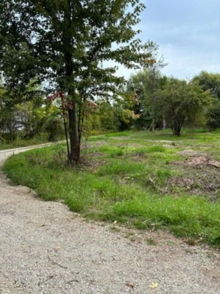 Vicky Drive Rubicon Township, MI 48468