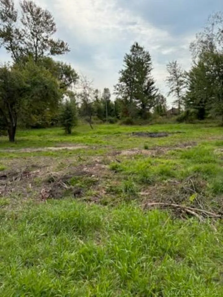Vicky Drive Rubicon Township, MI 48468