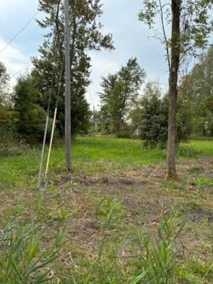 Vicky Drive Rubicon Township, MI 48468