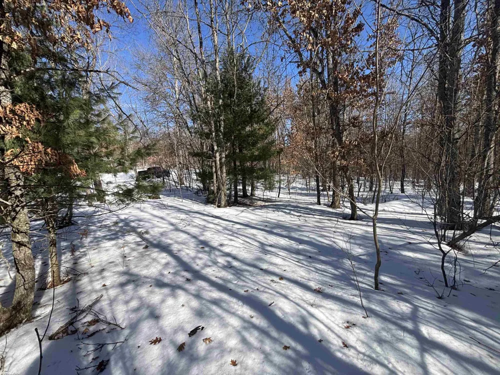 Pocahontas Trail Beaver Creek Township, MI 48653