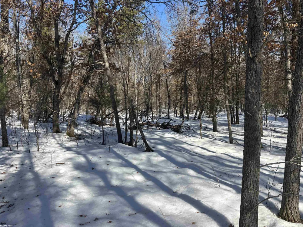 Pocahontas Trail Beaver Creek Township, MI 48653