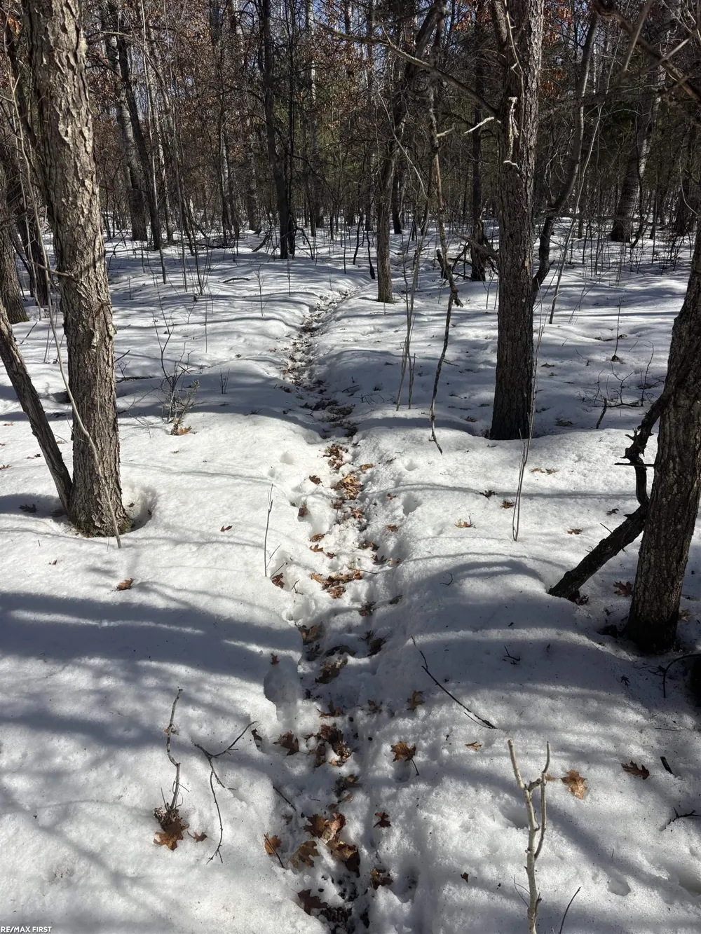 Pocahontas Trail Beaver Creek Township, MI 48653