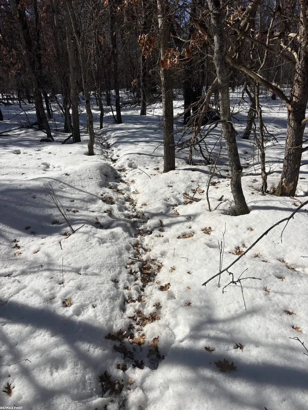 Pocahontas Trail Beaver Creek Township, MI 48653