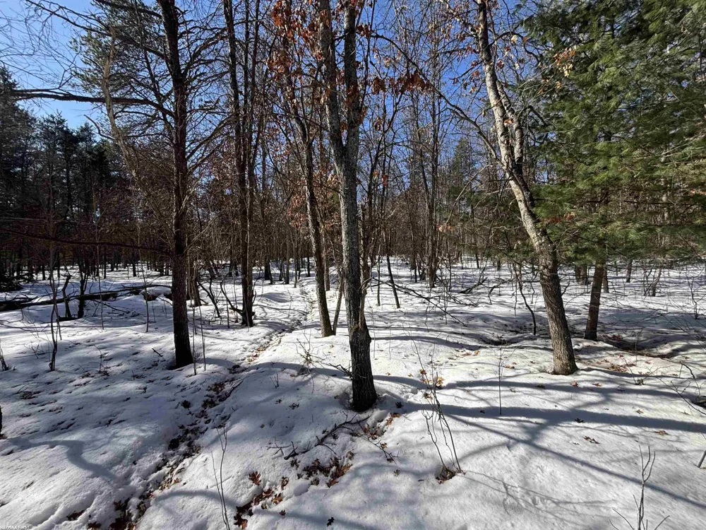 Pocahontas Trail Beaver Creek Township, MI 48653