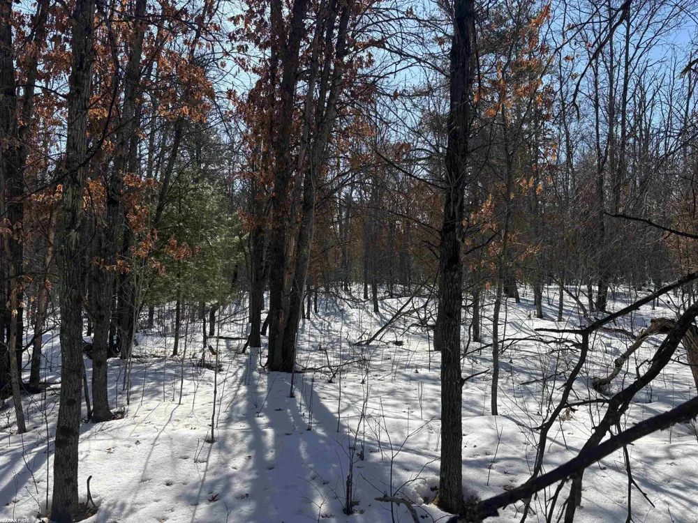Pocahontas Trail Beaver Creek Township, MI 48653