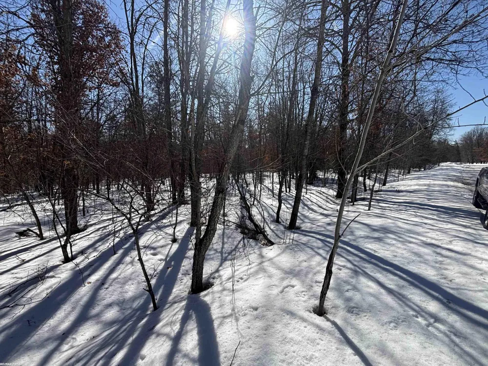 Pocahontas Trail Beaver Creek Township, MI 48653