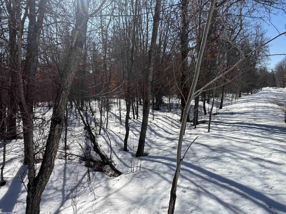 Pocahontas Trail Beaver Creek Township, MI 48653