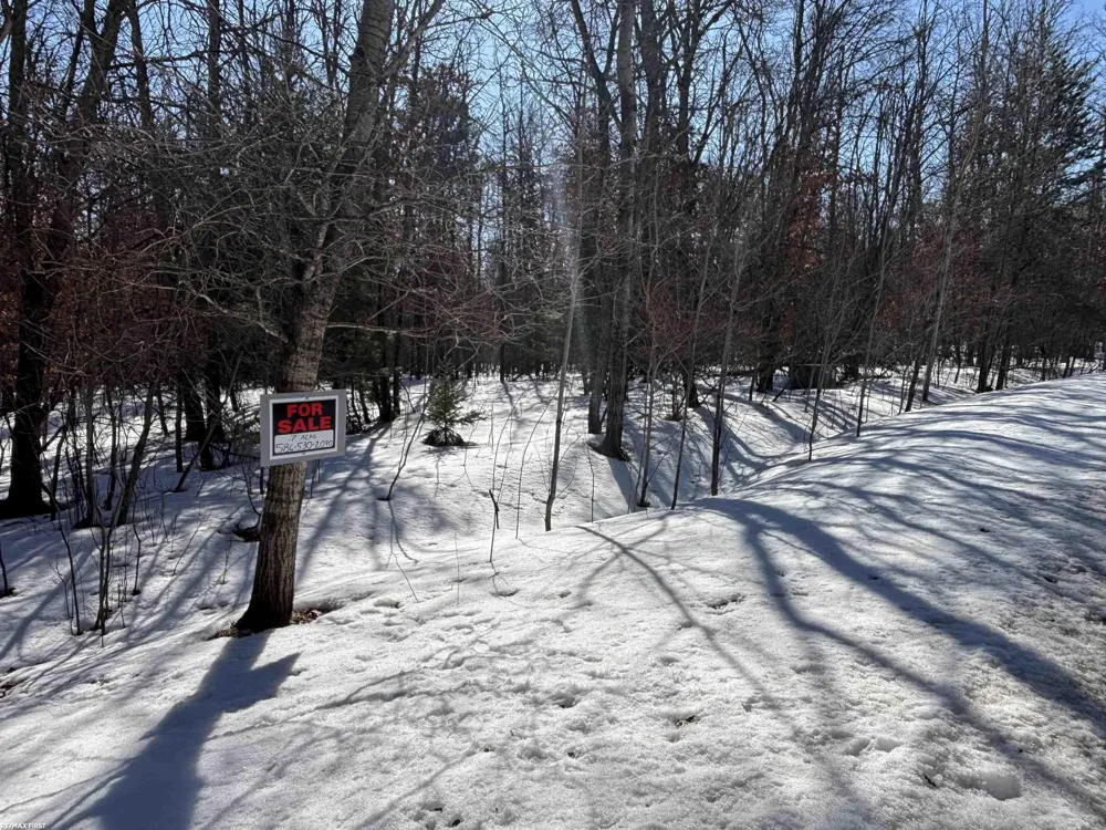Pocahontas Trail Beaver Creek Township, MI 48653