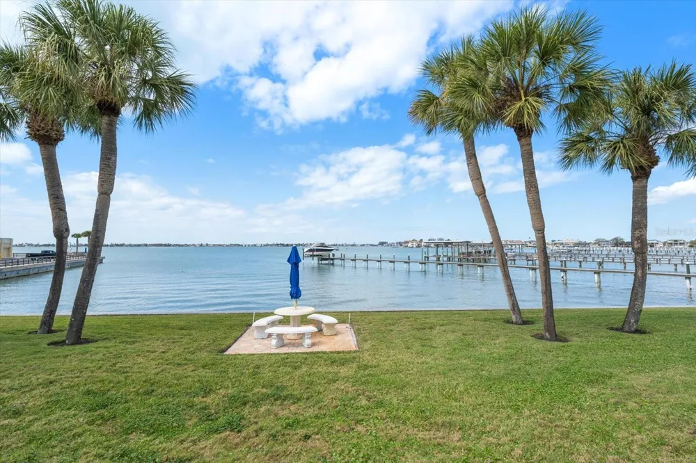 100 BLUFF VIEW DRIVE #114A Belleair Bluffs, FL 33770