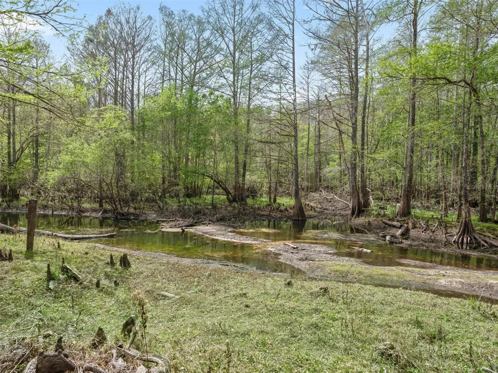 8701 CR 647 S Bushnell, FL 33513