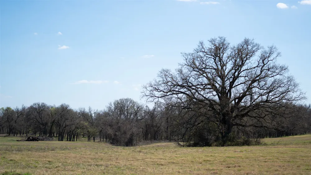 E 21st Street Cameron, TX 76520