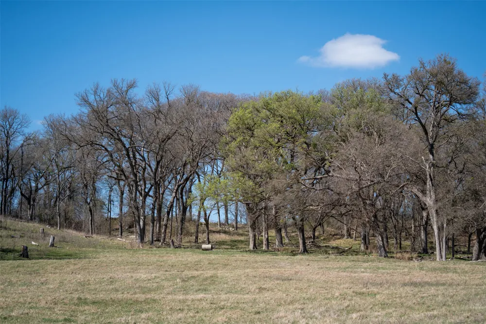 E 21st Street Cameron, TX 76520