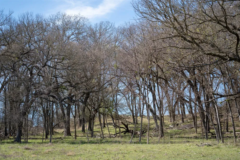 E 21st Street Cameron, TX 76520