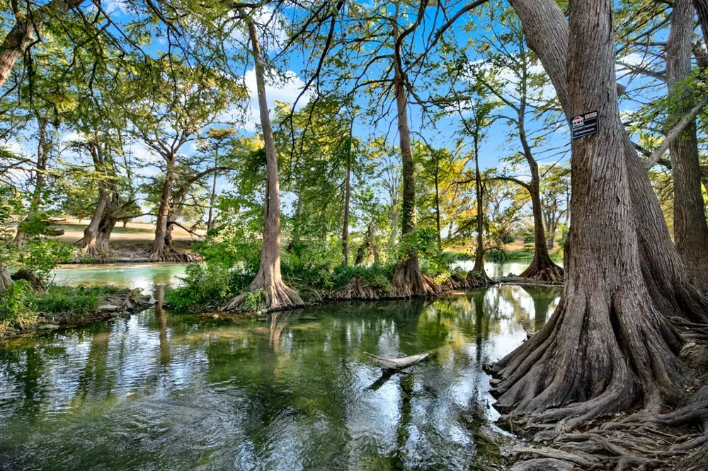 730 E Mather Street #B101 New Braunfels, TX 78130