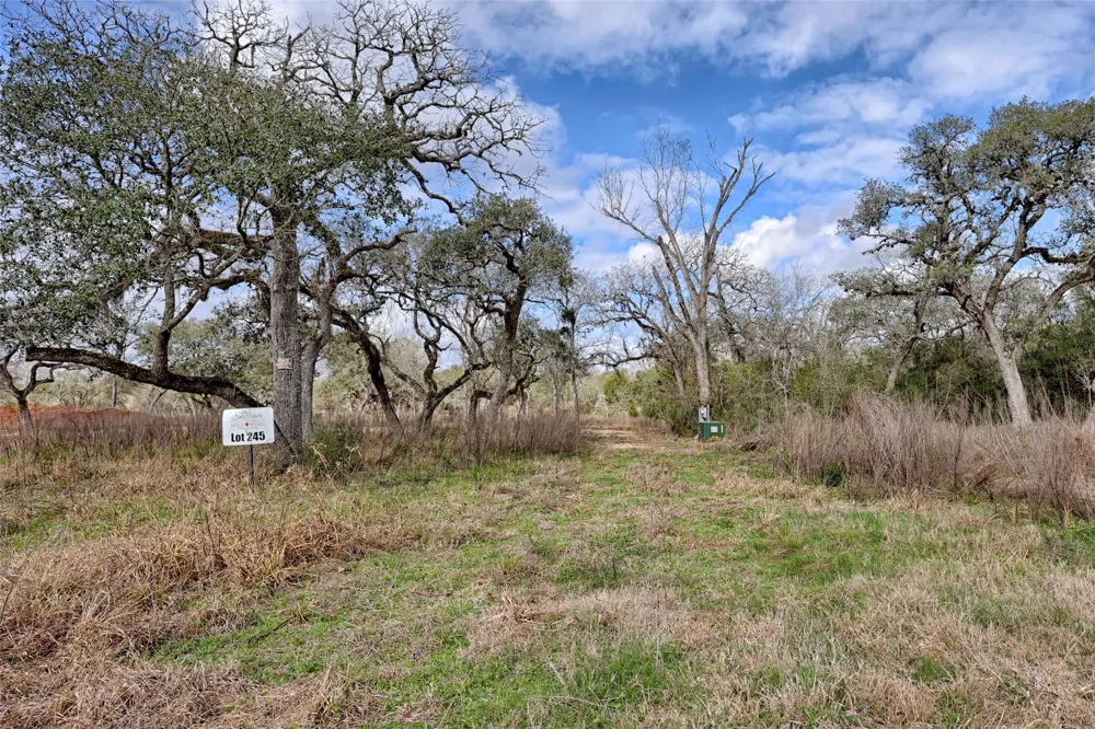 1178 Specklebelly Lane Columbus, TX 78934