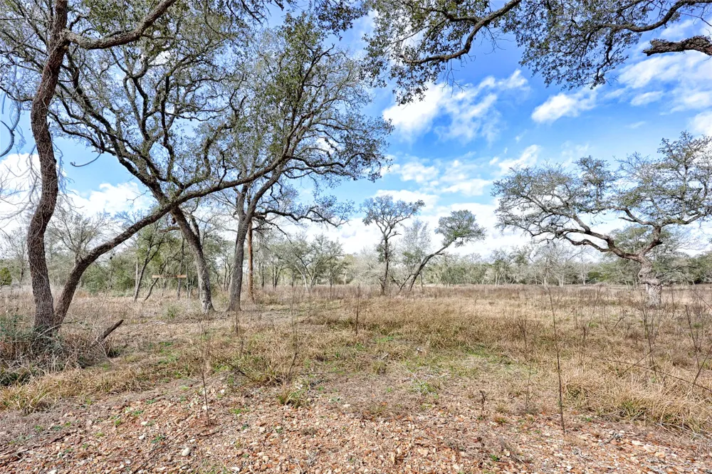 1178 Specklebelly Lane Columbus, TX 78934