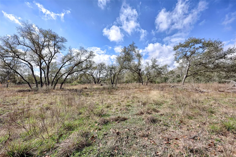 1178 Specklebelly Lane Columbus, TX 78934