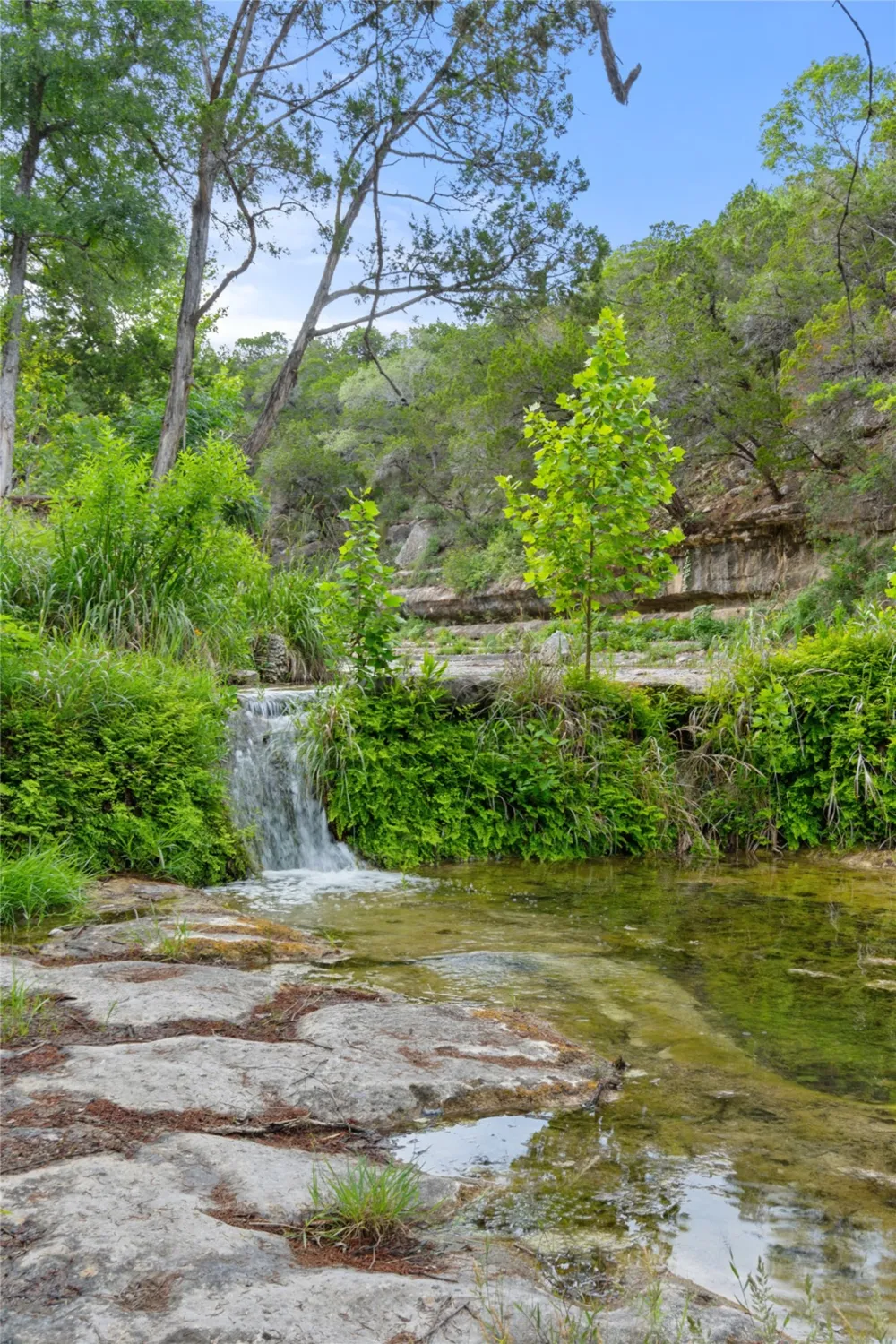 1601 Wild Basin Ledge Austin, TX 78746
