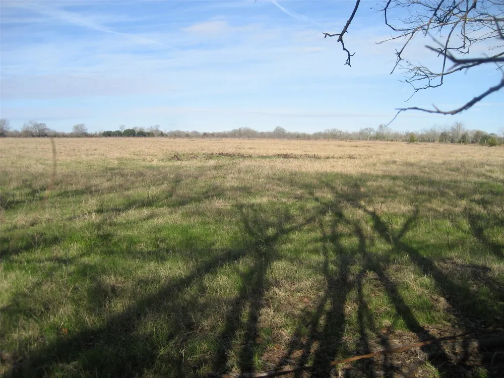 Cr 3057 Crockett, TX 75835