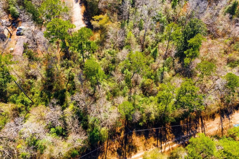 100 Lady Georgie Street Ivanhoe, TX 75979