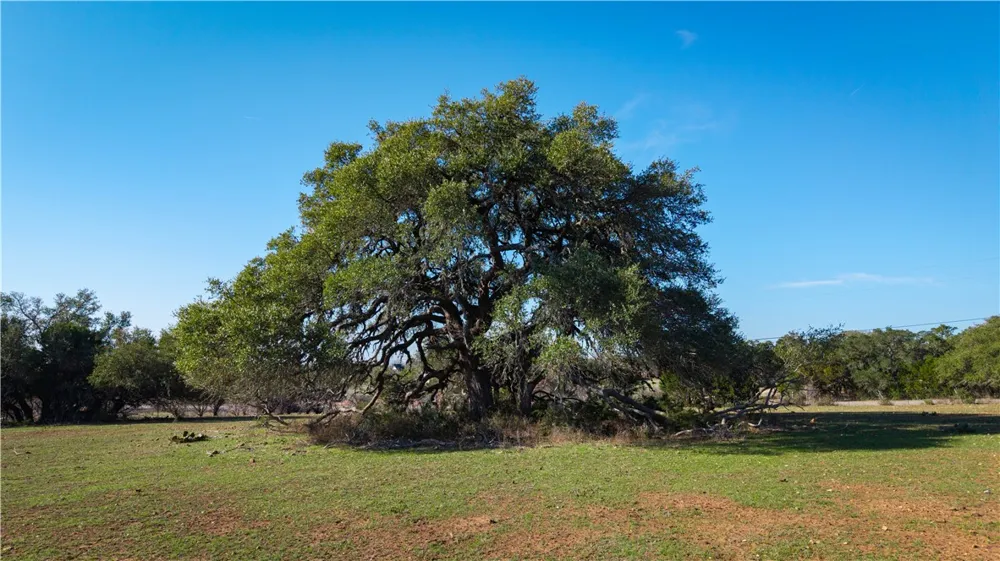 2444 Purgatory Road New Braunfels, TX 78132