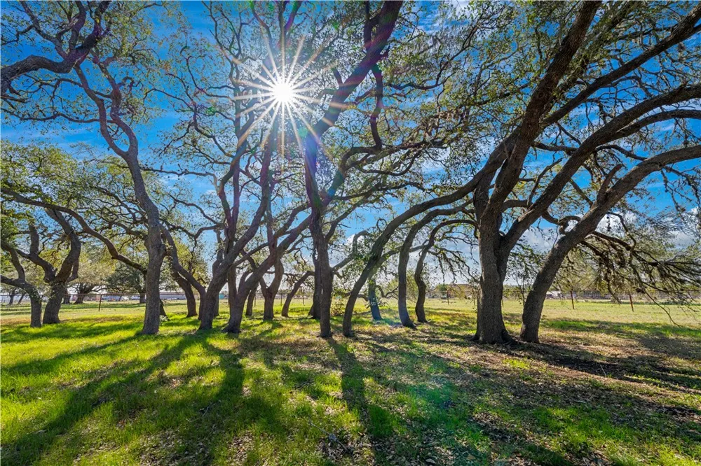 2444 Purgatory Road New Braunfels, TX 78132