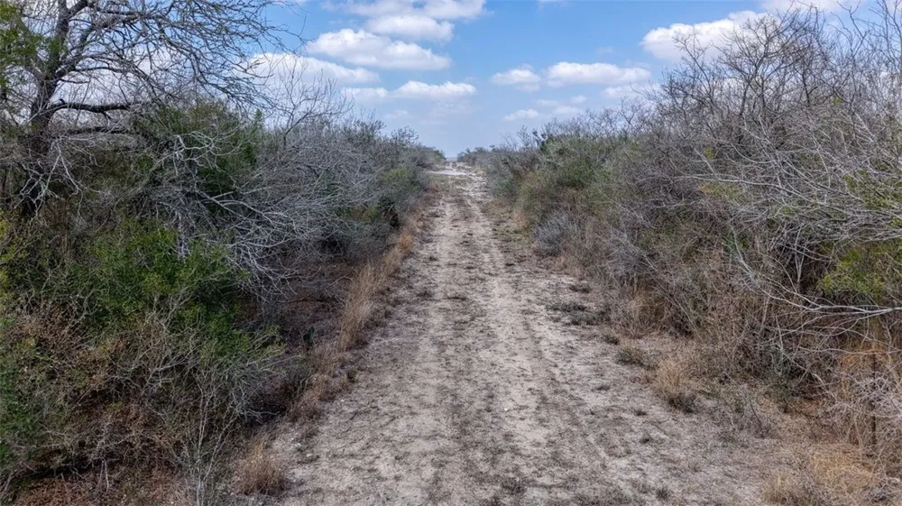 W County Road 239 Orange Grove, TX 78372