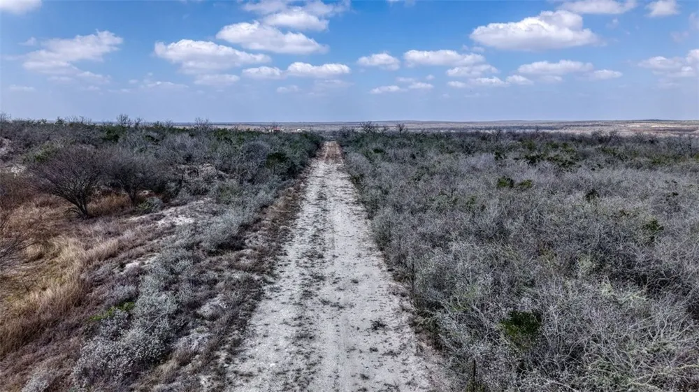 W County Road 239 Orange Grove, TX 78372