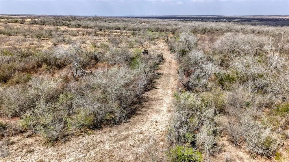 W County Road 239 Orange Grove, TX 78372