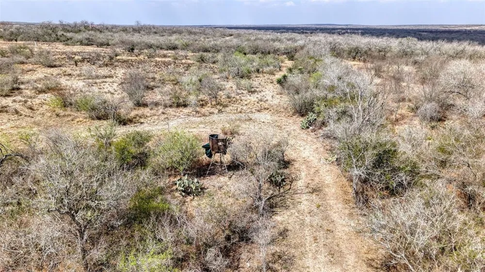 W County Road 239 Orange Grove, TX 78372